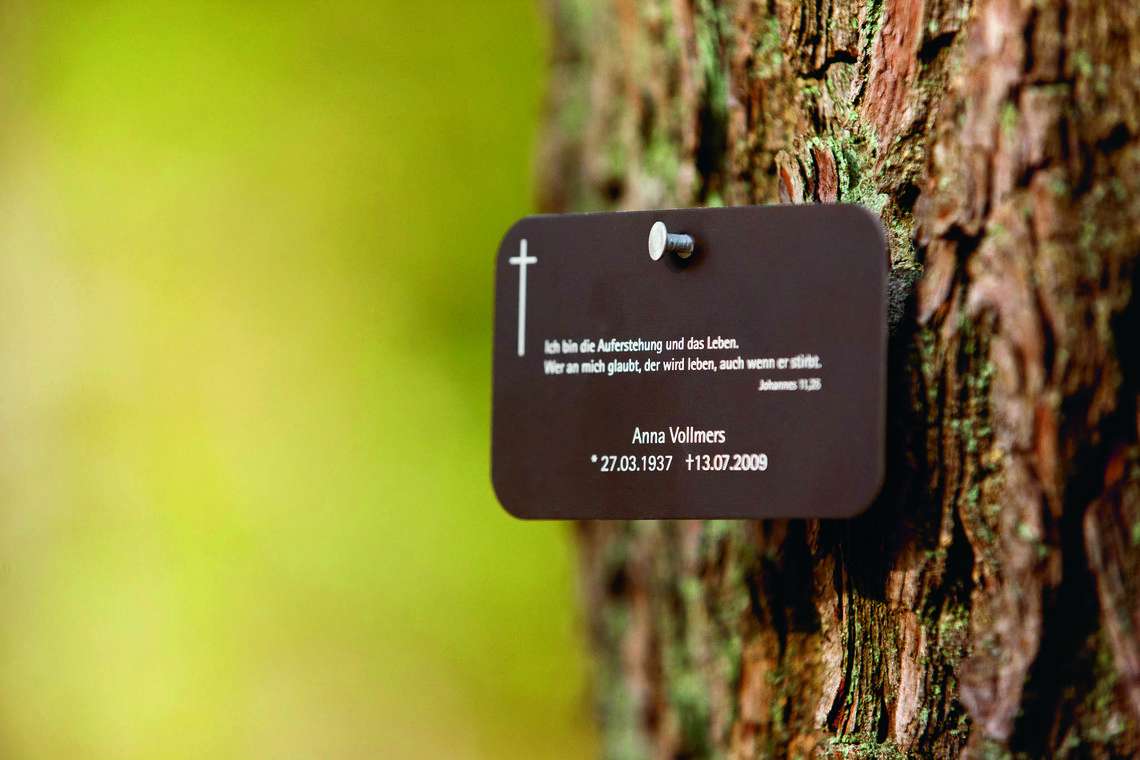 Bestattungsbaum Friedwald Taunusstein