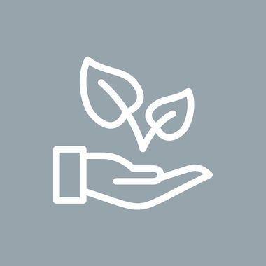 Baumbestattung in Darmstadt